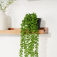 Artificial Plant